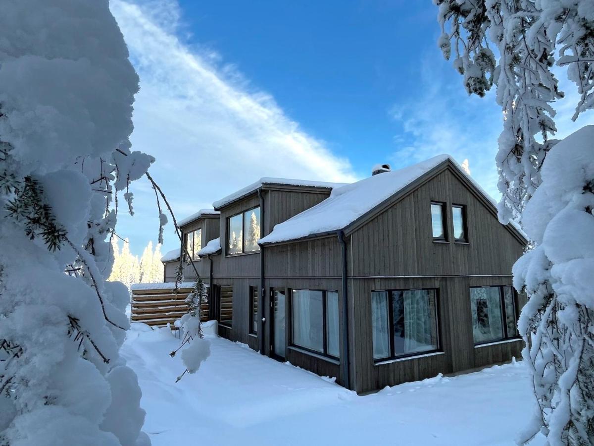 Martebaecken 19 Villa Sälen Kültér fotó